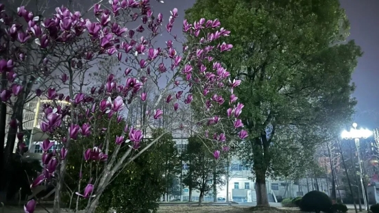 b1a84e12c483eade4bc5f1a679e5500bafba1264