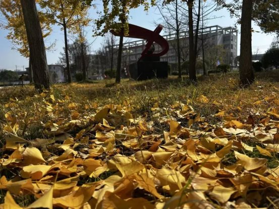 6b41fae1749de5a47c6c0bf8089a1189aa6be36c