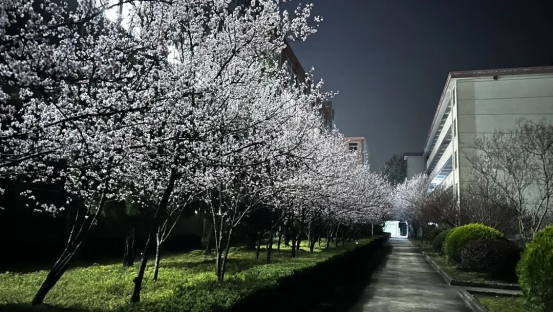 0b2d2ea32c0c778d4615c4bfd32200759e074934