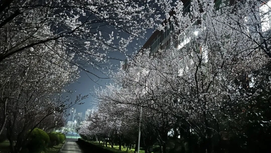 d87df92ebeefc0ecdf55b4c969aec8bf16e62fb8