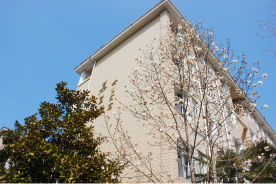 大美城中 筑梦启航——物华篇（一）